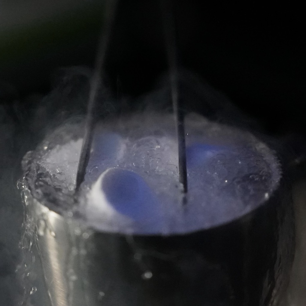 液体窒素で瞬間冷凍されたマシュマロ